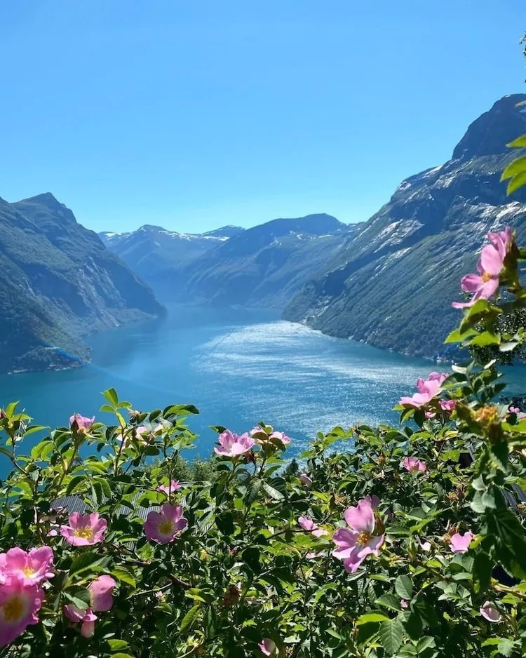 primavera en noruega primavera en noruega